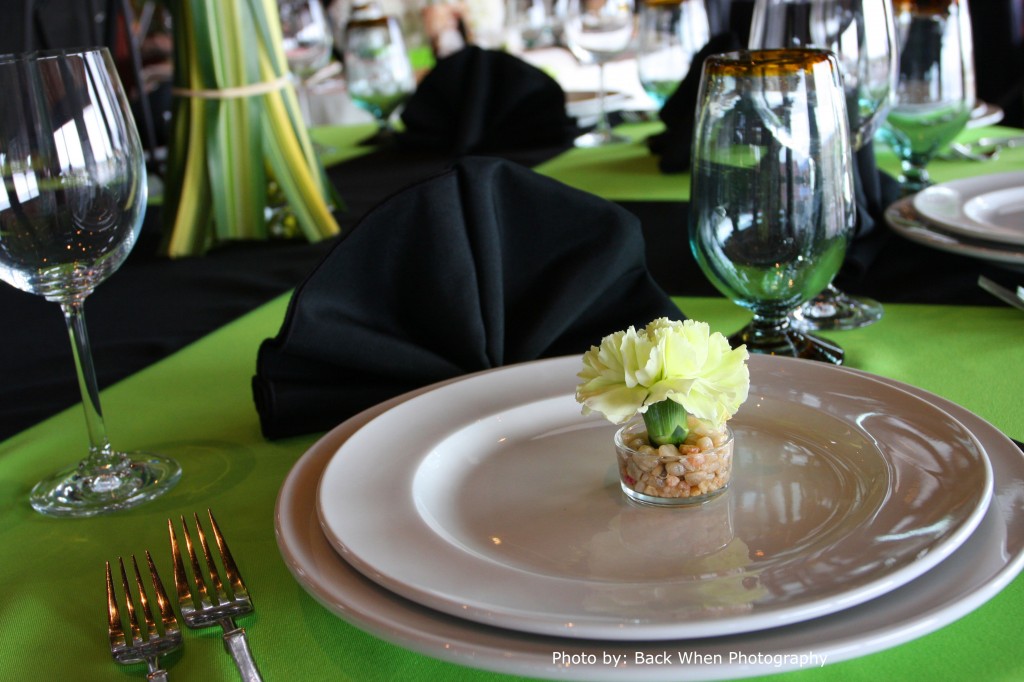 Wedding favor:green carnations and a river rocks