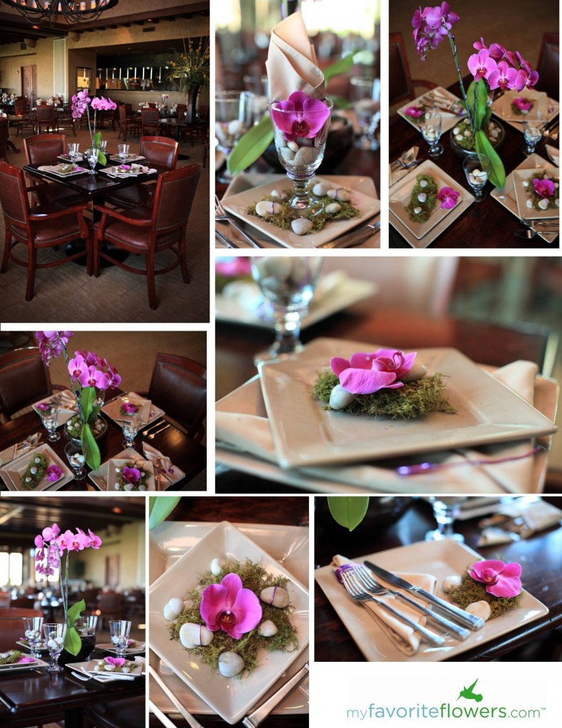 Orchid plant arrangement as a wedding centerpiece
