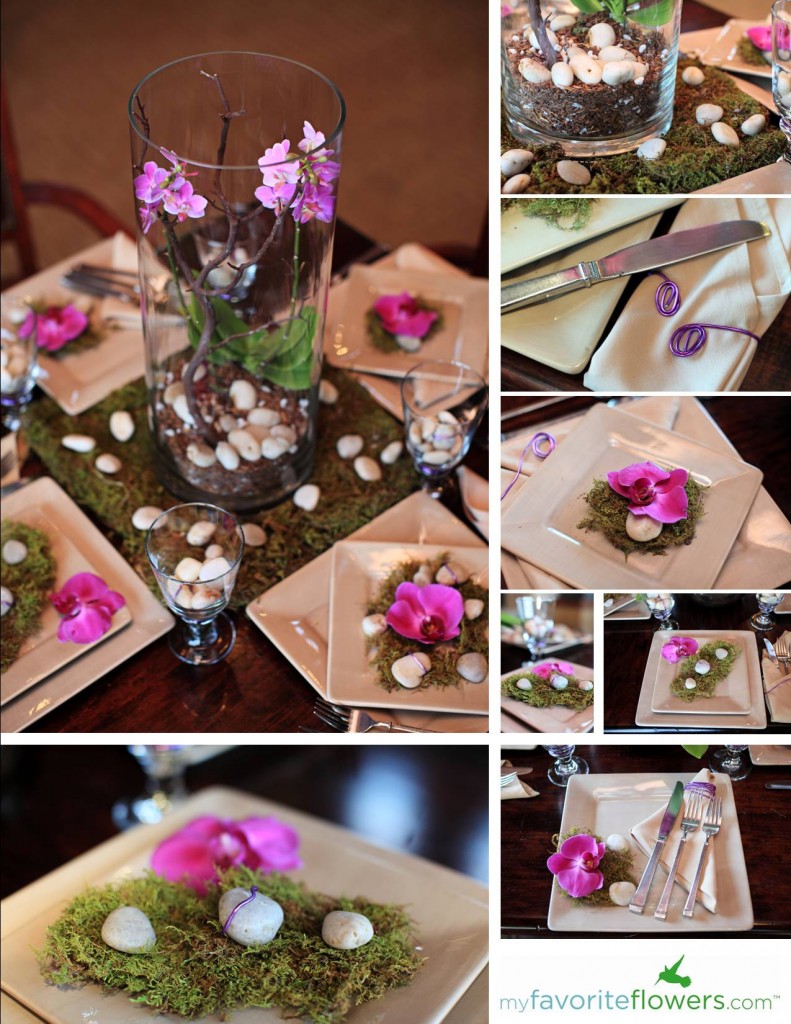 Orchid rental for weddings and events